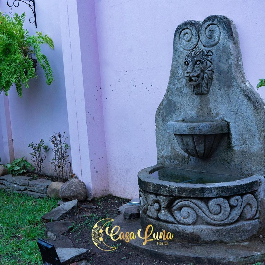 Hostal Casa Luna Santa Ana Eksteriør billede
